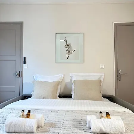 Apartment 1566 - Beautiful Studio Near Parc Des Expositions